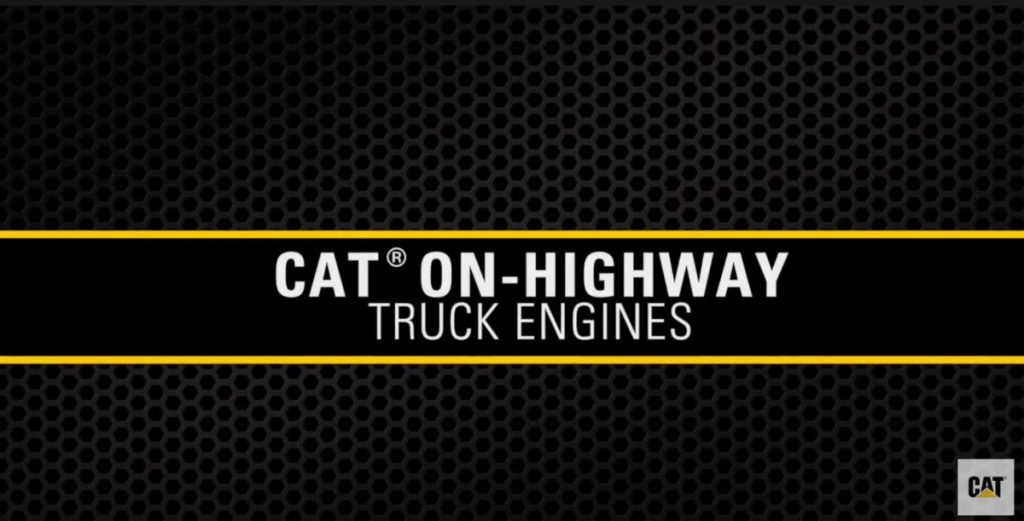 News 1 Precious-Metals-Kit-Offerings-for-Your-Cat