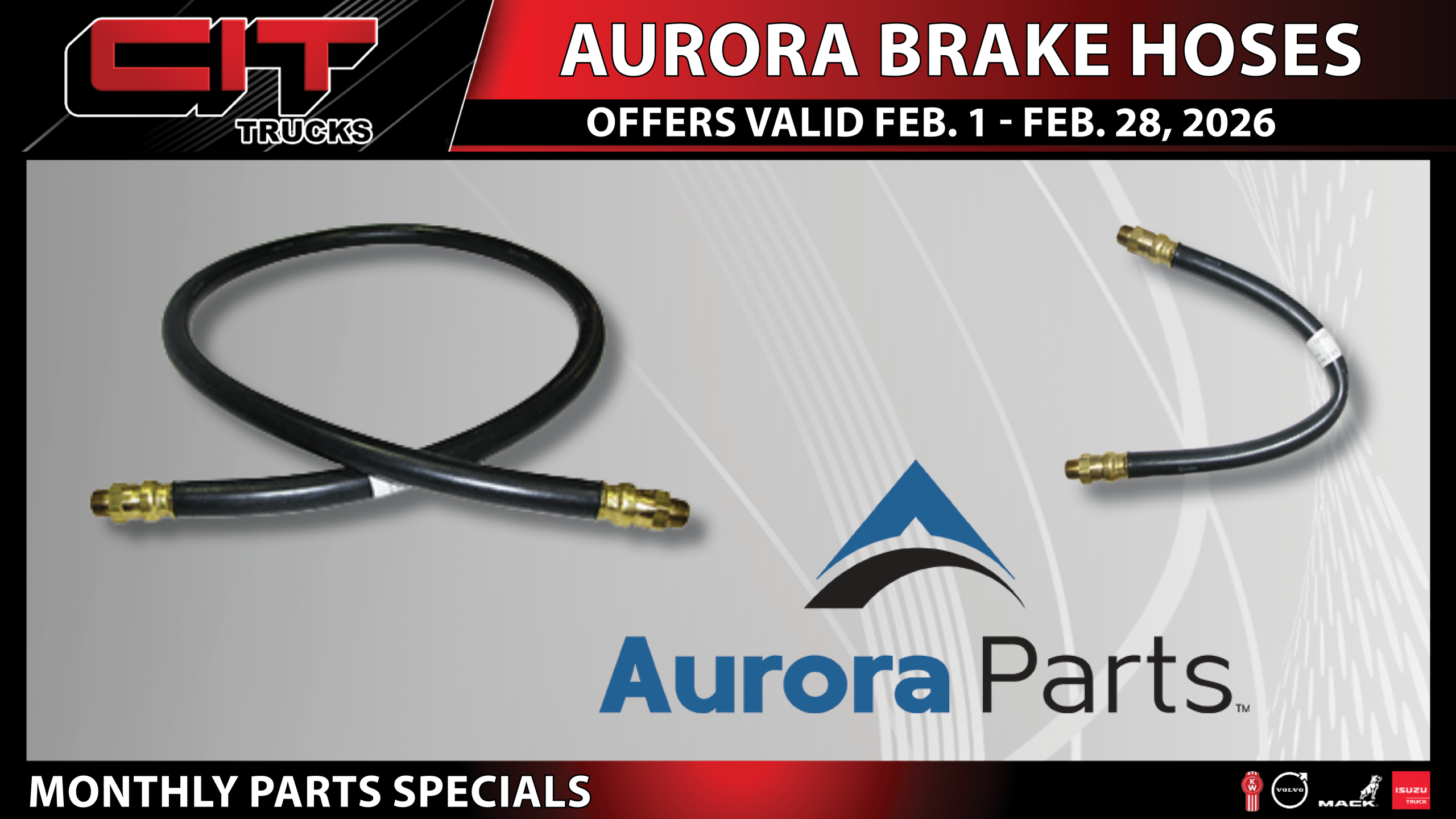 Aurora Brake Hoses